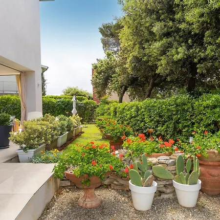 Apartman Atusca -